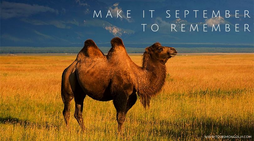 The Best Travel Ideas for September in Mongolia